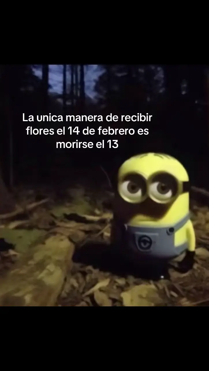 Total ni quería pareja este valentín #viral #tiktok #risa #fyp #parati #hola #chao #frijoles #minions #meme #paratiiiiiiiiiiiiiiiiiiiiiiiiiiiiiii #lol #ola #si #no #opinion #pelicula #BookTok #gymrat #dreamcore #lgtb #hetero 