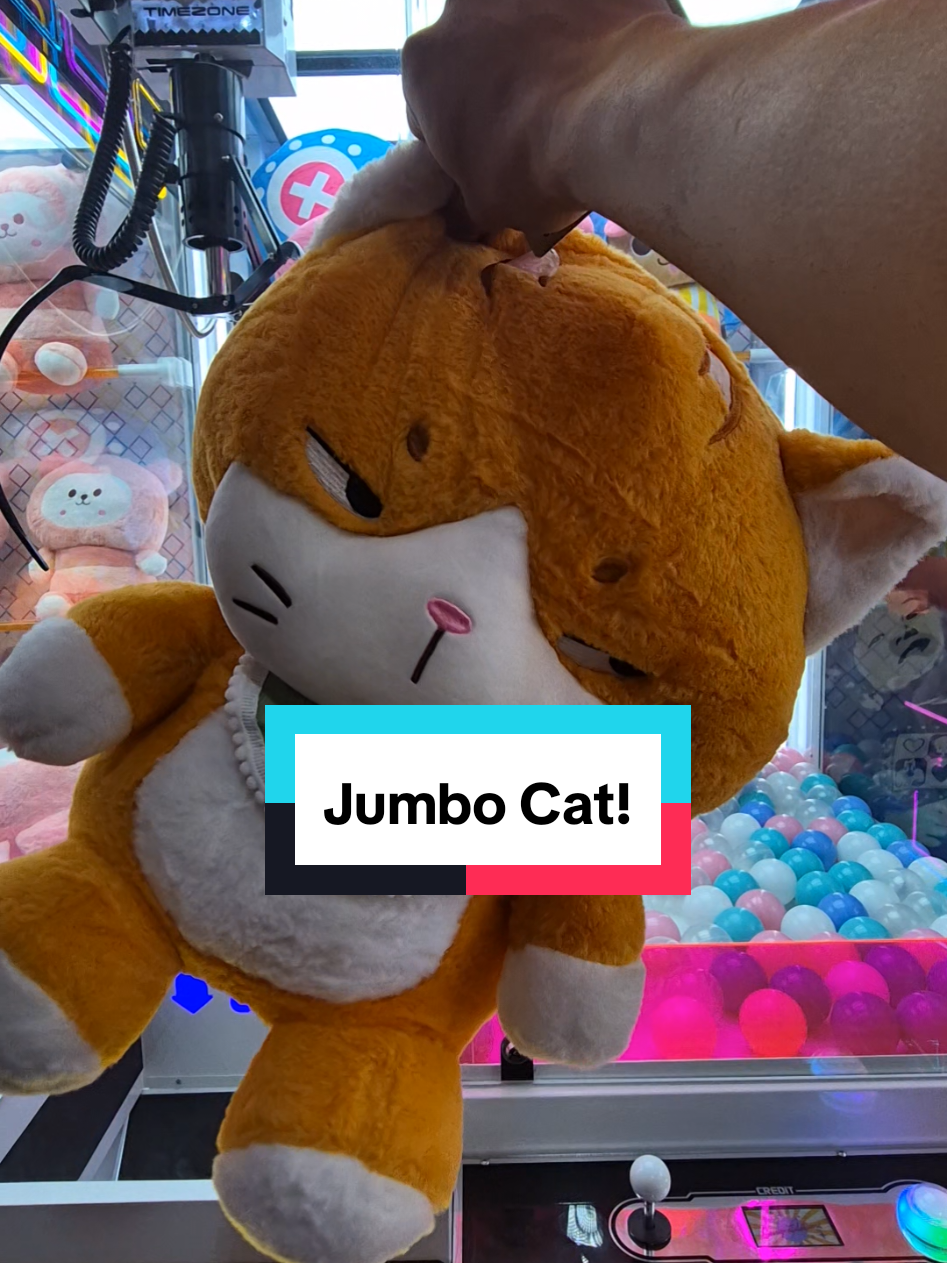 Jumbo Cat!! #fyppppppppppppppppppppppp #satisfying #win #clawmachine #fypシ゚ #arcade #fyp #pov #plushies #giantplush #catsoftiktok #cat #timezone 