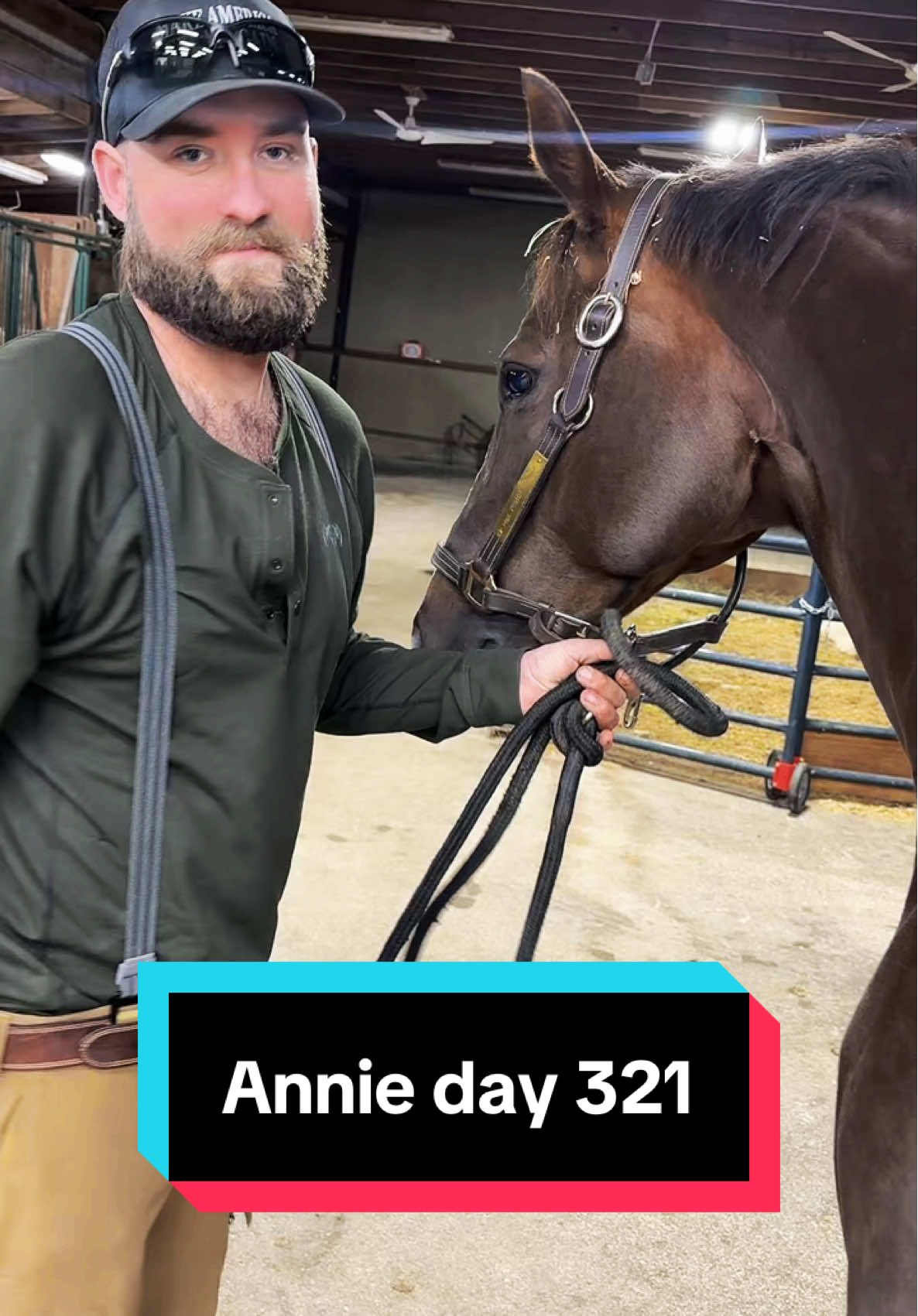 Annie is 321 days pregnant!🐴💕