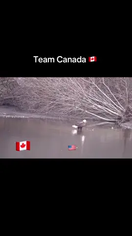 This is Canada 🇨🇦❤️#canada🇨🇦 #fyp #teamcanada #fypdong #fypviral 