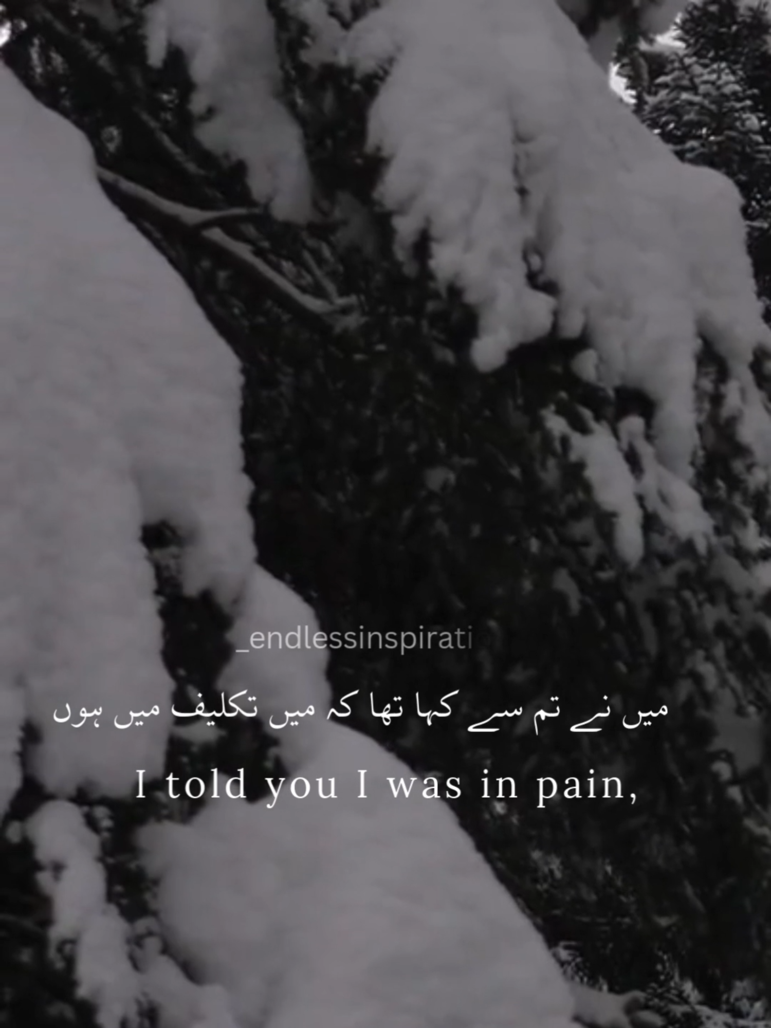 I told you I was in pain :) #foryoupage #englishquotes #sad #london #englishpoetry #nature #clouds #snowday @tiktok @tiktokglobal @tiktokcreators @tiktokmena