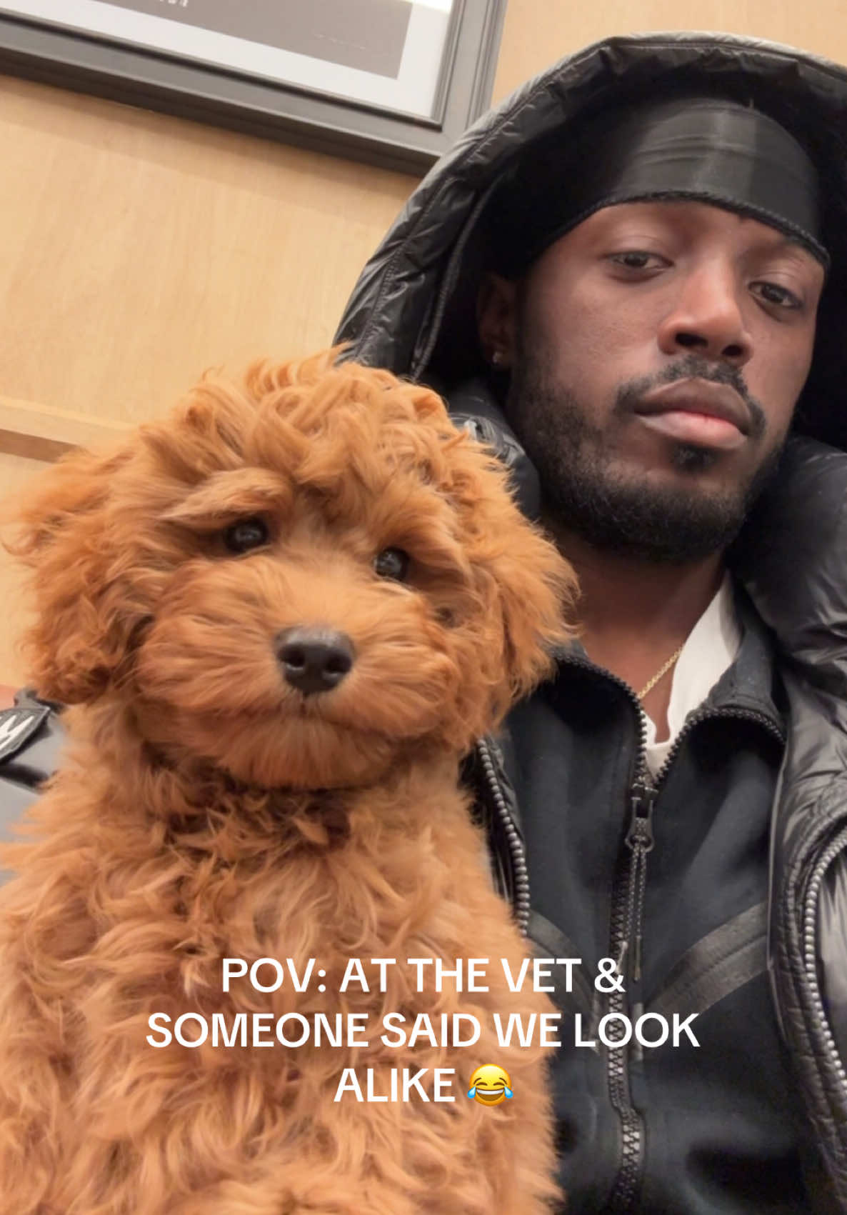 Someone Said We Look Alike Teddy Looked Back & Said “Im Cuter Thats Crazy Talk” 😂😂😂 #nycphotographer #cavapoo #dogdad #puppytiktok #veterinarian 