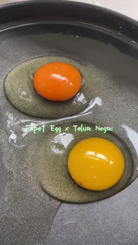Perbedaan yang bisa dilihat dengan mata adalah warna yolk yang lebih orange, akan tetapi Fapet Egg juga memiliki kandungan kolesterol lebih rendah dan memiliki kandungan omega 3 lebih tinggi dari telur negri‼️ Info pemesanan 085173163539 #fapetegg #fapetugm #ugmjogja 