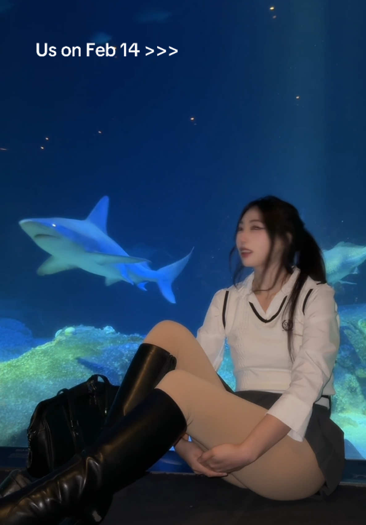Valentine’s Day is just right around the corner 🥲 #singleaf #ValentinesDay #girlfriend #dating #firstdate #dream #aquarium #sawako #anime #japanese #date #gf #crush 