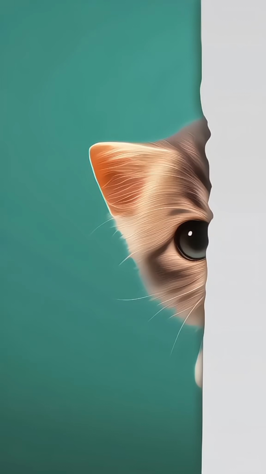 😺Download Wallpaper in Bio 👉🔗 Cute cat Live wallpaper cc art : unknown (Dm for credit or removal / All rights® are reserved & belong to their respective owners) #cat #catsoftiktok #wallpaper #cute #livewallpaper #4khd #viral #tiktokcreator 