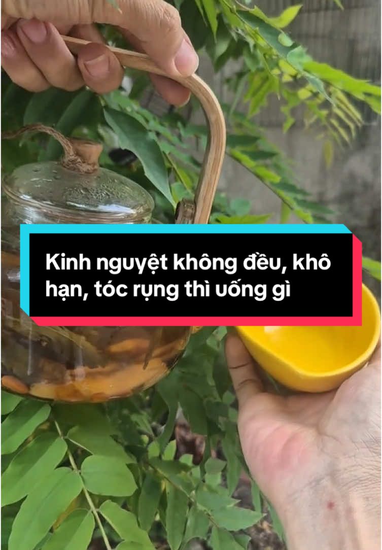 Kinh nguyệt không đều, khô hạn, tóc rụng thì uống gì #songkhoemoingay #xuhuong #meovat #samtonu4vi 