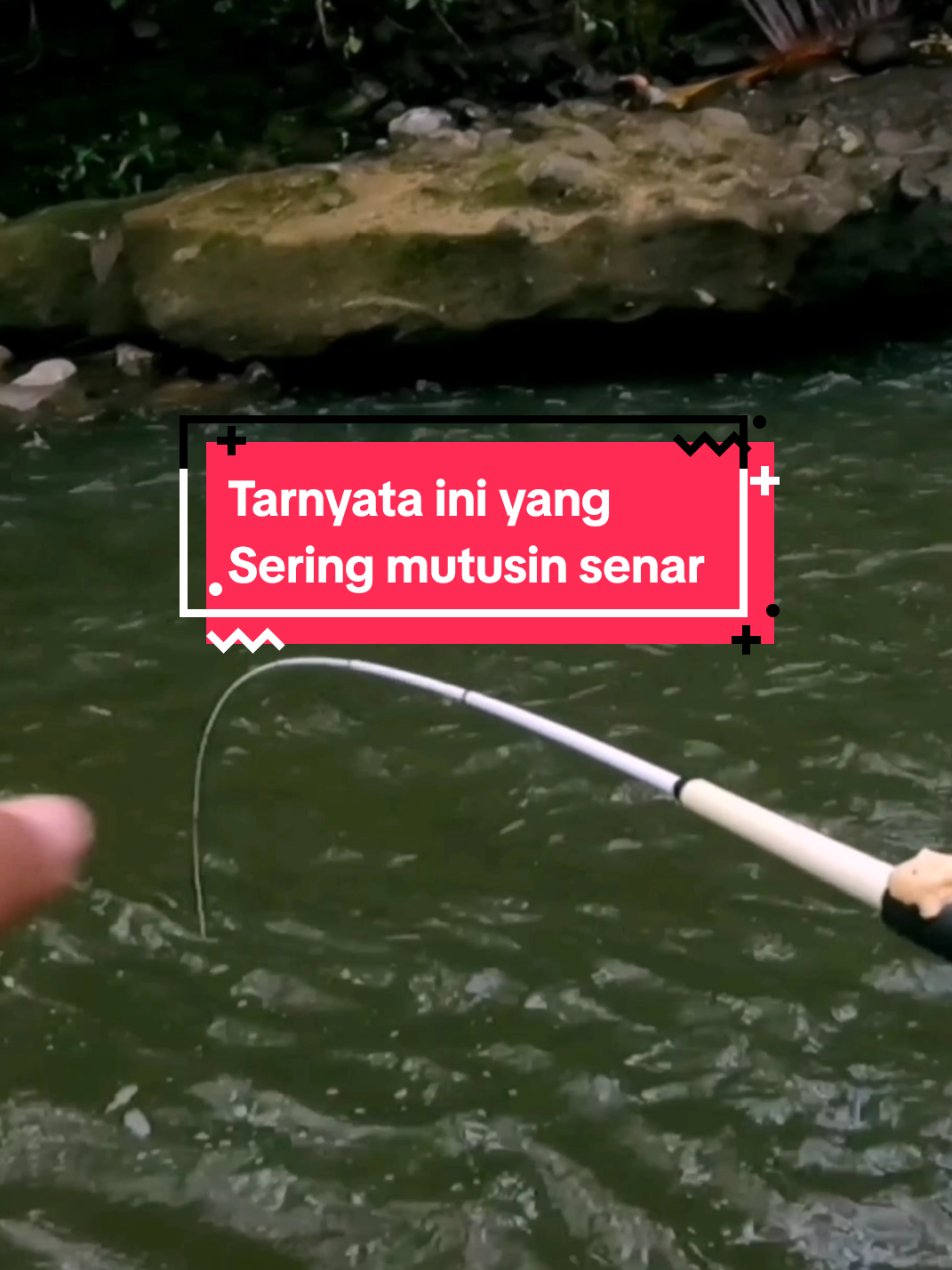 Strike makhluk yang sering mutusin senar #mancinguceng #mancingliar #mancingmania #fyp #viral 