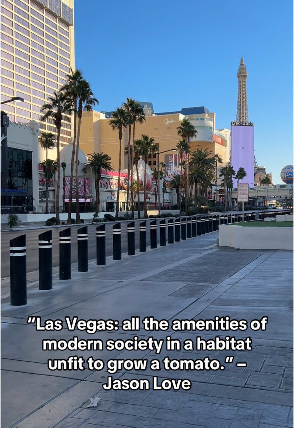 “Las Vegas: all the amenities of modern society in a habitat unfit to grow a tomato.” – Jason Love #lasvegas #vegas #lasvegasstrip #fyp #greatness #amazing 