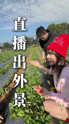 鮮採直送 不怕你比較🍓 #直播 #團隊 #品質 #草莓 #新鮮 #飽滿 #大蘋兒 #大蘋UUUUU #公主派對