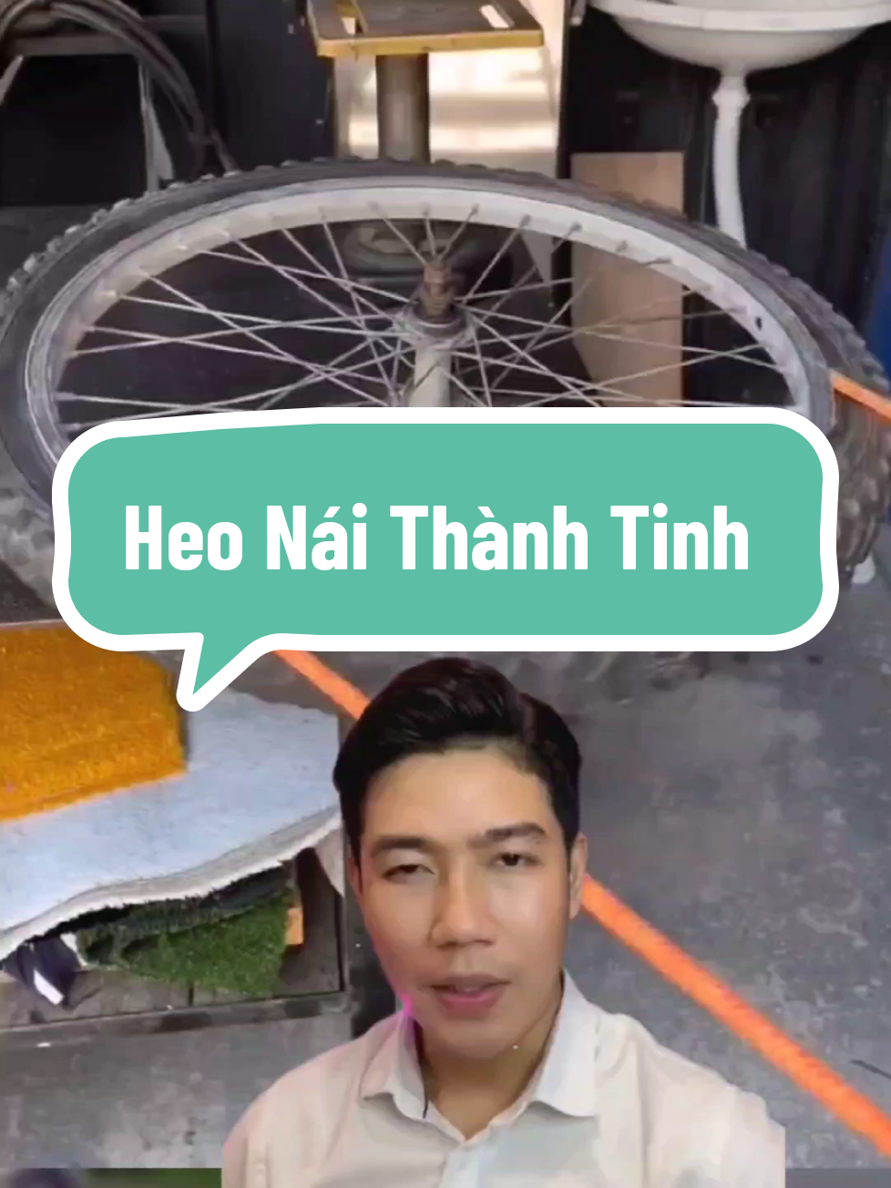 Heo Nái Thành Tinh #nghekechuyen #tamlinh #chuyenma #chuyenkinhdi #tieuho #chubaduy 