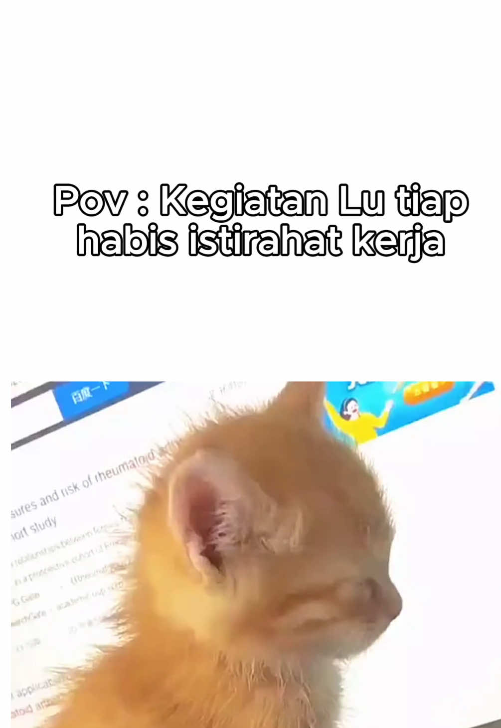 Siapa nih yang sering kayak gini ?🫣😂 #fypage #viral #trending #viraltiktok #followforfollowback #corporate #nekonoshanpuid #catlover #viralvideos #ngakak 