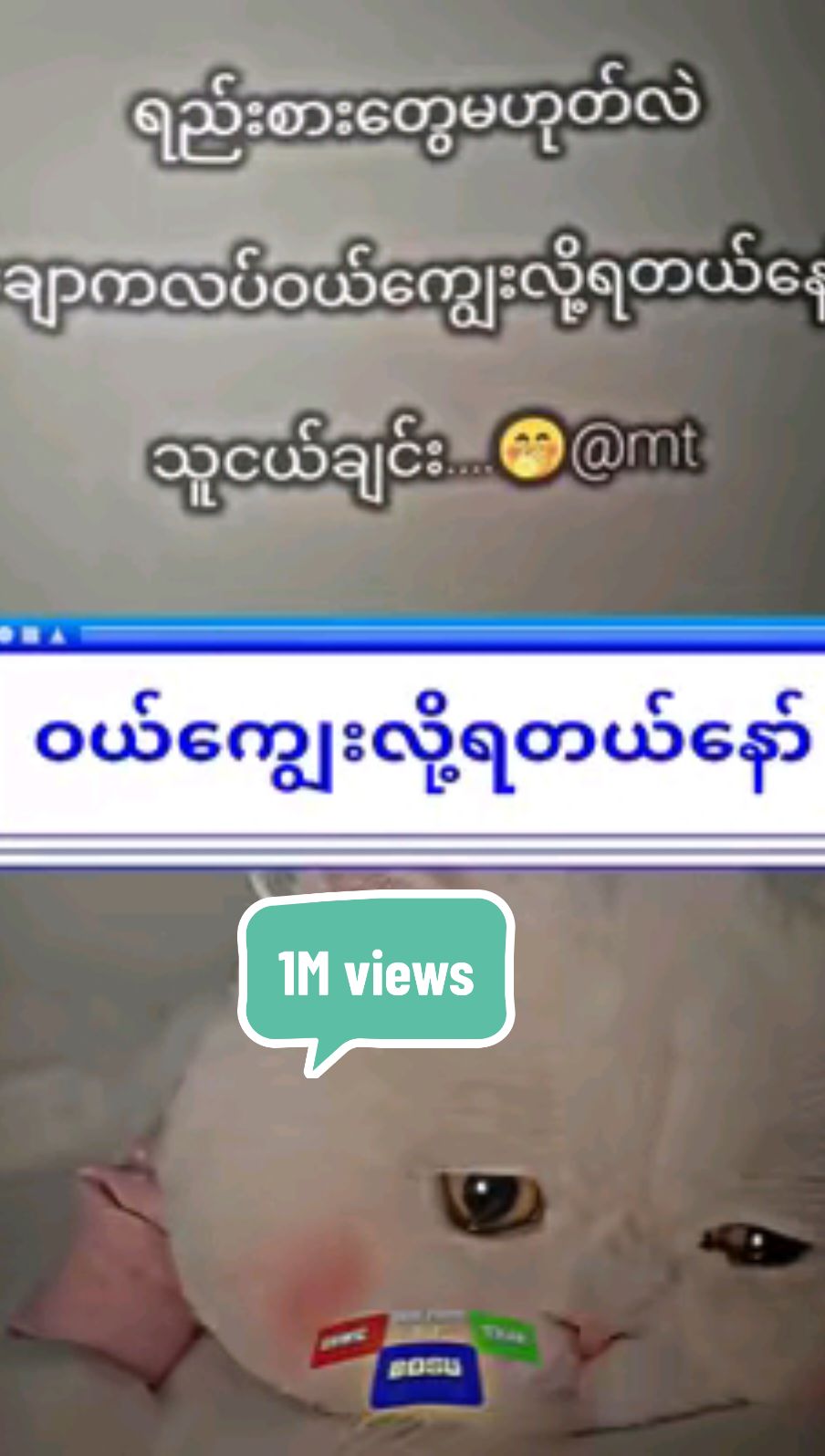 #ဝယ်ကျွေးလို့ရတယ်နော်🤭🤭#သူငယ်ချင်းကိုmtခေါ်ပြီးပြောလိုက် #🤍🤍🤍🤍🤍🤍🤍🤍🤍🤍🤍🤍🤍🤍🤍🤍🤍🤍🤍🤍🤍🤍🤍en #alightmotion #fyp #foryou #foryourpage 