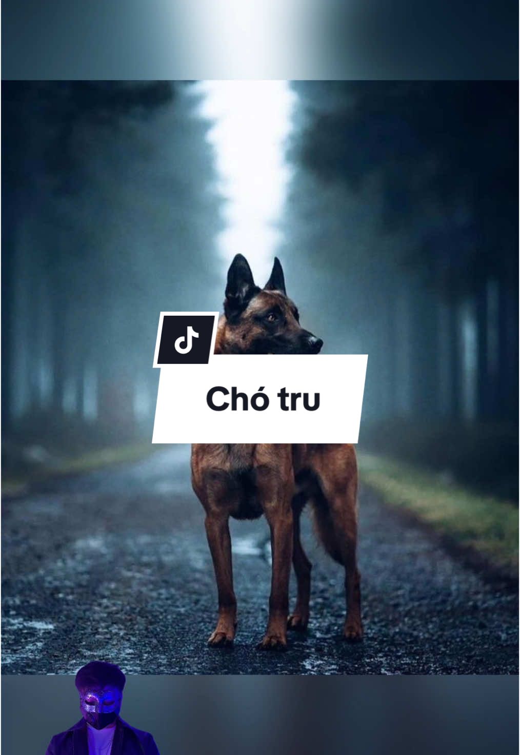Bạn từng nghe chó tru như thế chưa? 😰 #matnahuyenbi #LearnOnTikTok #HocCungTikTok #kechuyen #phimkinhdi #popsww