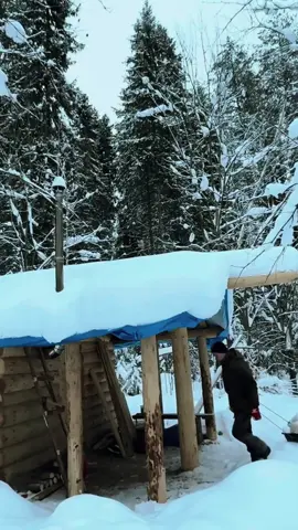 Renovate my dream house part 1#build #bushcraft #fyp #outdoor #wildernesscrafters #shelter