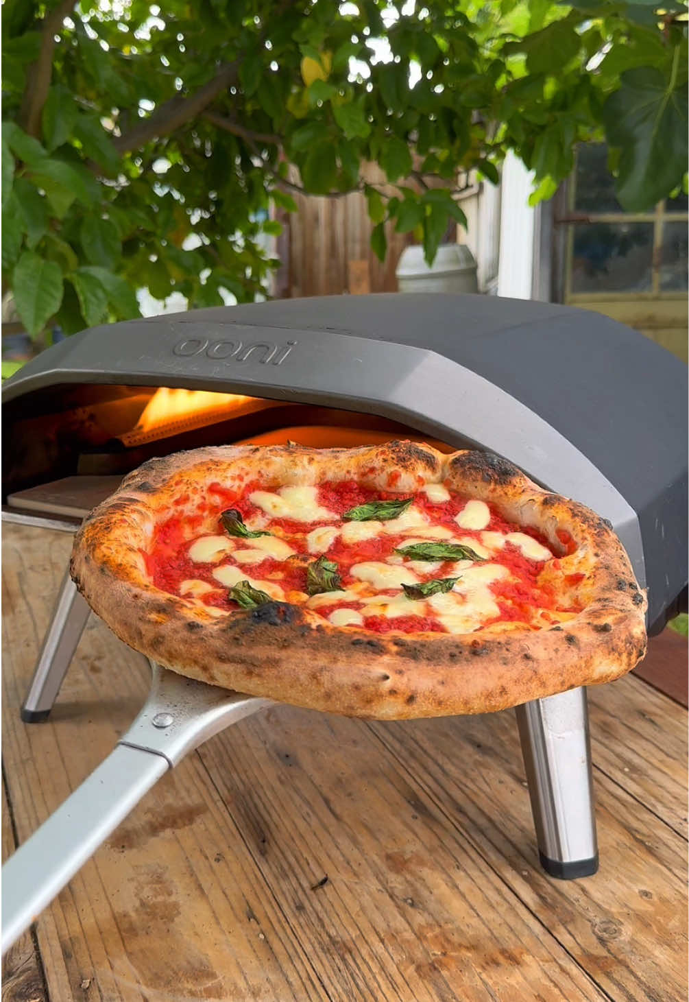 🍕 CLASSIC MARGHERITA 🍕 Italian summer vibes with this Margherita Monday ☀️🍕🇮🇹❤️ Hope everyone has the best week ✌🏻🍕💥 The dough 👀 Poolish 70/30 Poolish Caputo nuvola super 1hr RT + 24h CT  Refresh Caputo pizzeria 24h Balled CT + 1h RT 70% hydration  🔥 Baked in the Ooni Koda 16 @oonihq  @ooni.anz  🫒 EVOO @its.olio @Its.Olio @Ooni Pizza Ovens  . . . . #pizza #theoneeighthitalian #ooni #ooniambassador  #pizzaclass #pizzarecipe #margheritamonday #foodrecipies #pizzamargherita #margherita #recipeoftheday #italianfood #melbourne #letscook #cookingtogether #pizzaiolo #pizzatime #pizzadough #neapolitanpizza