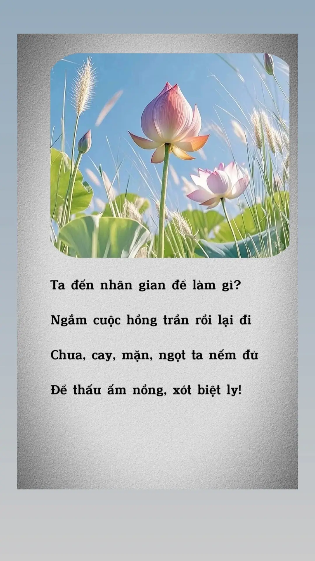 VỊ ĐỜI… Một kiếp nhân sinh lắm đoạn trường Người người mang đến những tơ vương Đau thương , hỉ nộ hằn sâu vết Ái ố, khóc cười, YÊU – HẬN – THƯƠNG. Đắng chát ngọt bùi ta tạo ra Gập ghềnh nhân thế ai chẳng qua Đớn đau tận cùng thành mạnh mẽ Sang giàu, nghèo khó … cách bao xa? Ta đến nhân gian để làm gì? Ngắm cuộc hồng trần rồi ra đi Nếm vị ngọt bùi, chua, mặn, chát Để thấu ấm nồng, xót chia ly! Ngẫm xem khoảng cách giữa ghét thương Giữa hận và yêu để đo lường Giữa sống và chết nơi nhân thế Cảm đời hạnh phúc hay thê lương! Thì ra vị đời thật khác nhau Niềm vui hoà lẫn với thương đau Hạnh phúc đan xen cùng khó nhọc Tươi trẻ dần chen với úa nhàu. Tự nhắc bản thân chớ u sầu Bốn mùa luân chuyển nối đuôi nhau Thu đi, Đông lại rồi Xuân tới Ngoảnh mặt sớm mai tóc bạc màu…! Đồng Ánh Liễu.