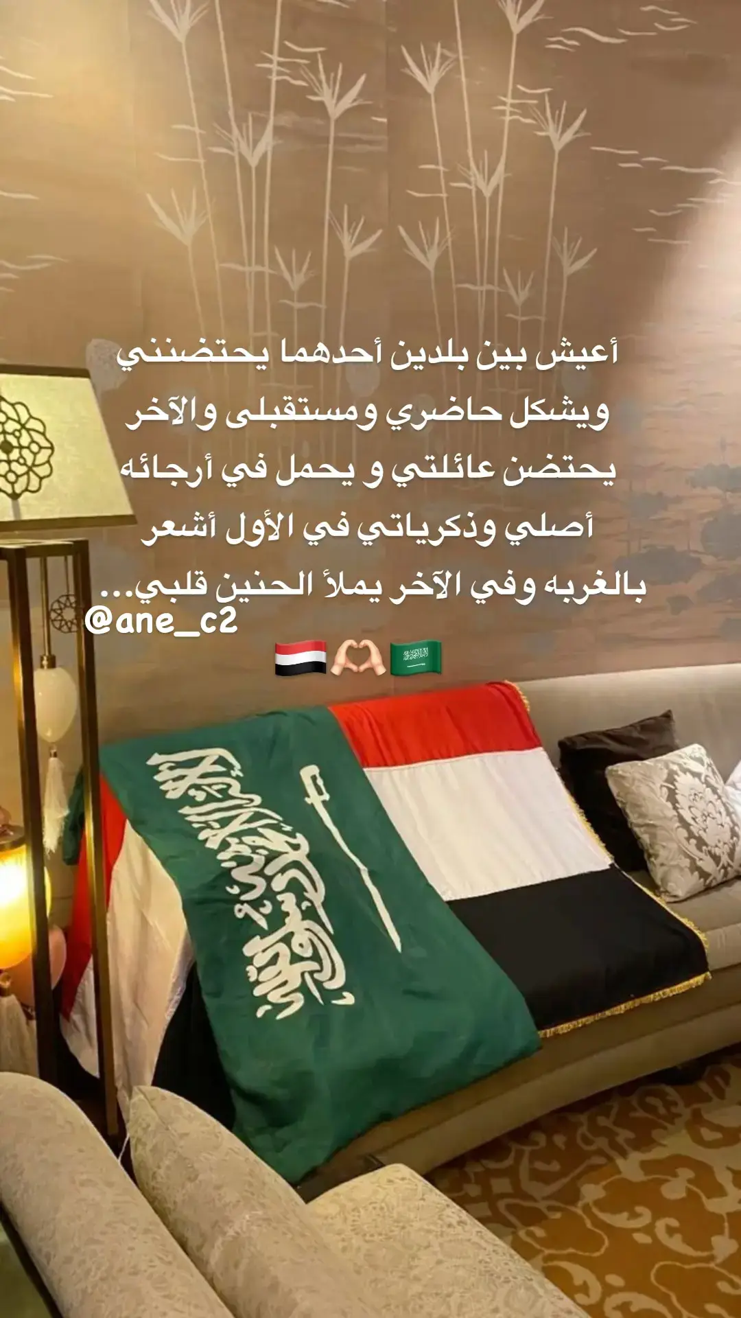 #السعودية #اليمن 