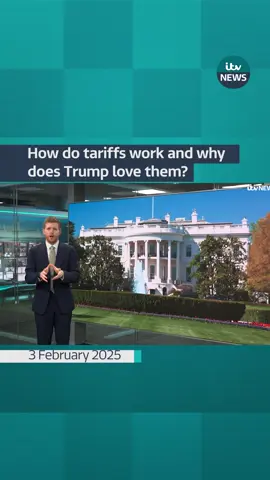 How do tariffs work and why does Trump love them?  #itv #itvnews #trump #usa 