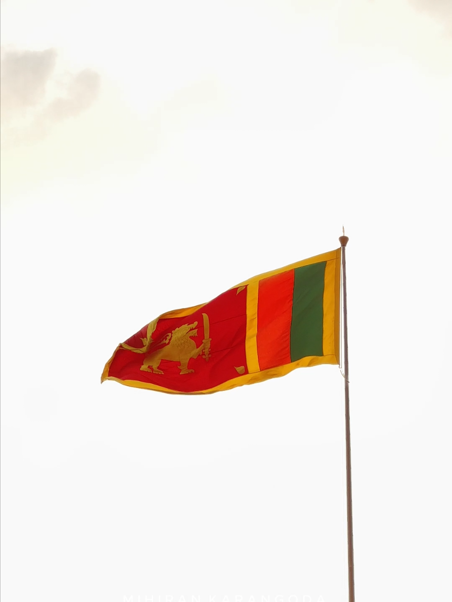 77th Independence Day 🇱🇰  . #srilanka #repulicday #77th #2025 #independenceday #ape_rata #historic_one #fyp