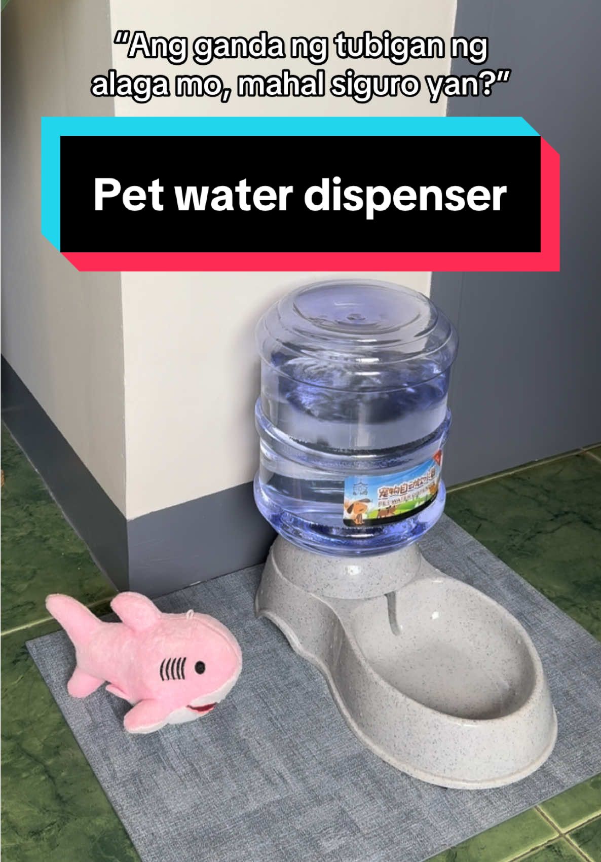 100+ mo lang mabibili itong water dispenser para hindi ka na maya’t maya magrefill 🥰 #dogsoftiktok #PetsOfTikTok #shihtzu #petwaterdispenser #waterdispenser #dogwaterdispenser #automaticdispenser #fyp 