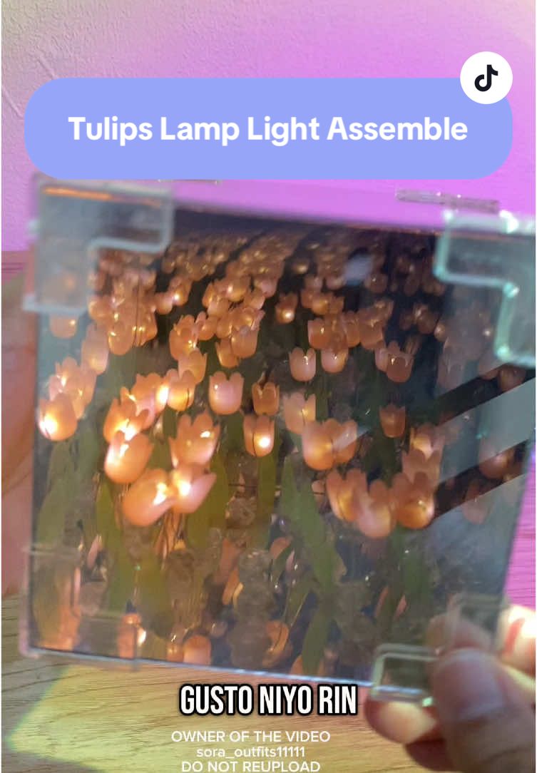 20 Tulips Cube Lamp Tutorial #tulips #tulipslamp #tulipslightlamp #tulips flower led night light #tulipslightlampassemble #tulipslamptutorial 