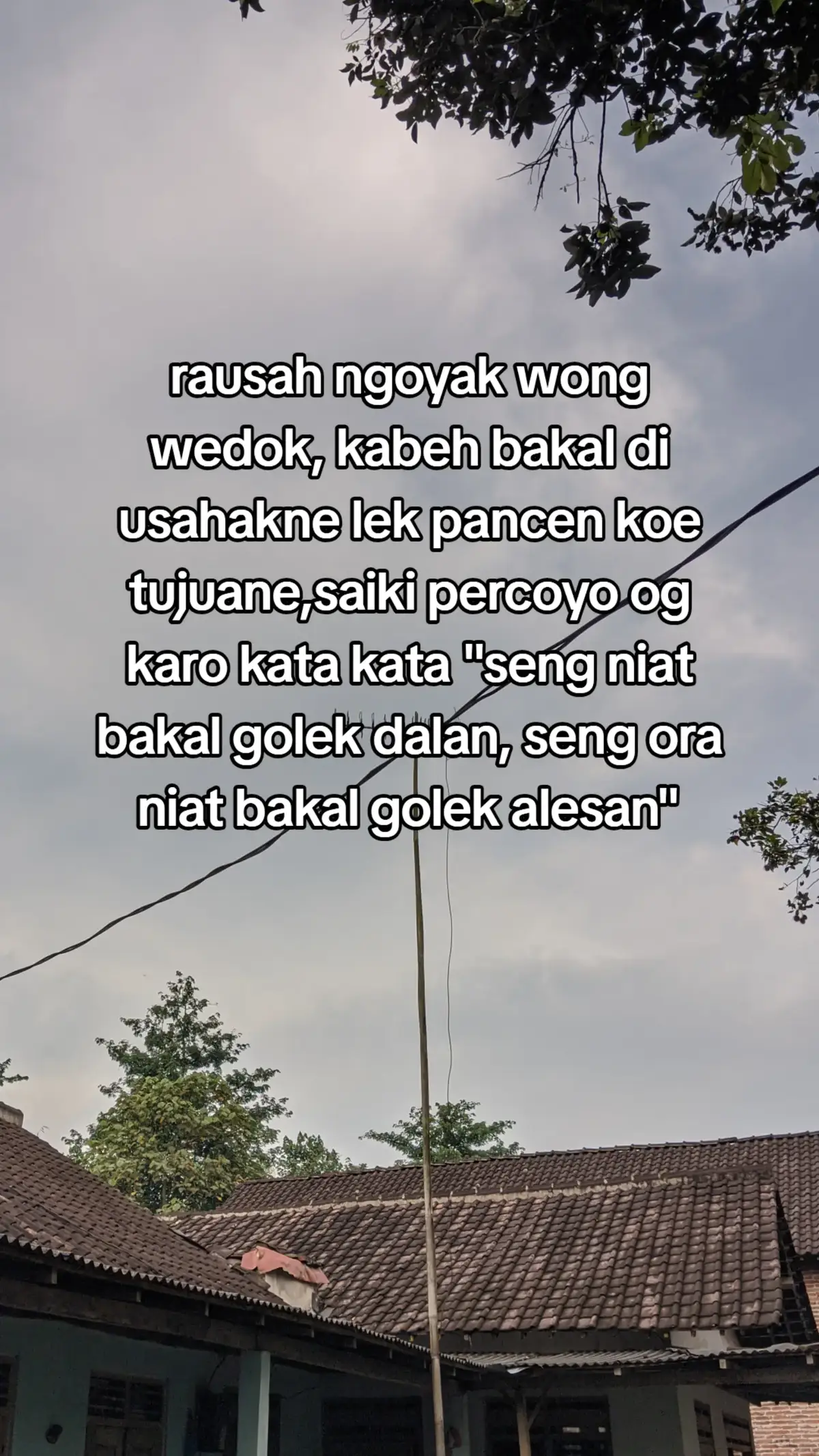 #fyp #fyppppppppppppppppppppppp #xyzbca #jowopride #blitar24jam 
