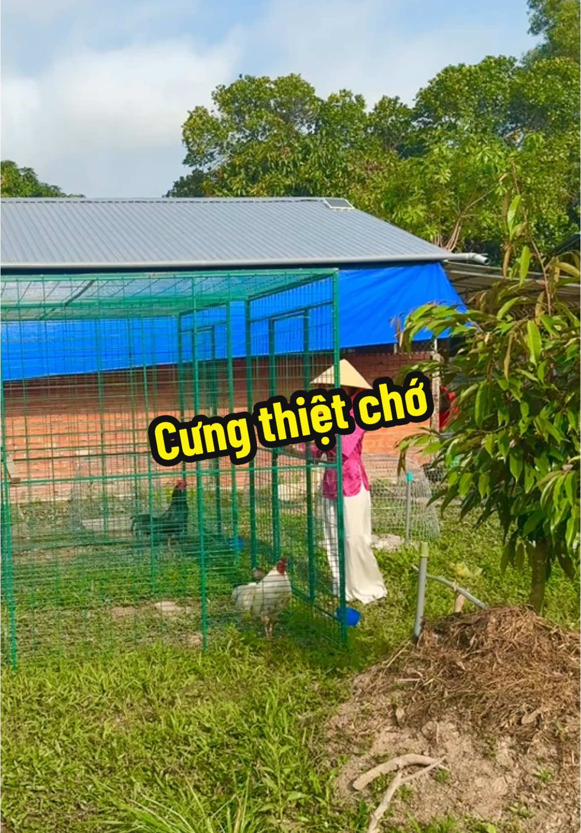 Làm như biết tới giờ ăn hay sao á  😂 #2025 #trendingtiktok #xuhuong #c1 #gada #gadavietnam #c2 #c3 #gadavietnam #trending #traiga #vietnam 