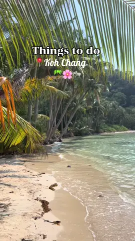 Things to do on the beautiful island Koh Chang 🏝️🐘🌊☀️🌸 #kohchang #kohchang🇹🇭🏝🇹🇭 #travel #elephants #thailand #backpack #thingstodokohchang  