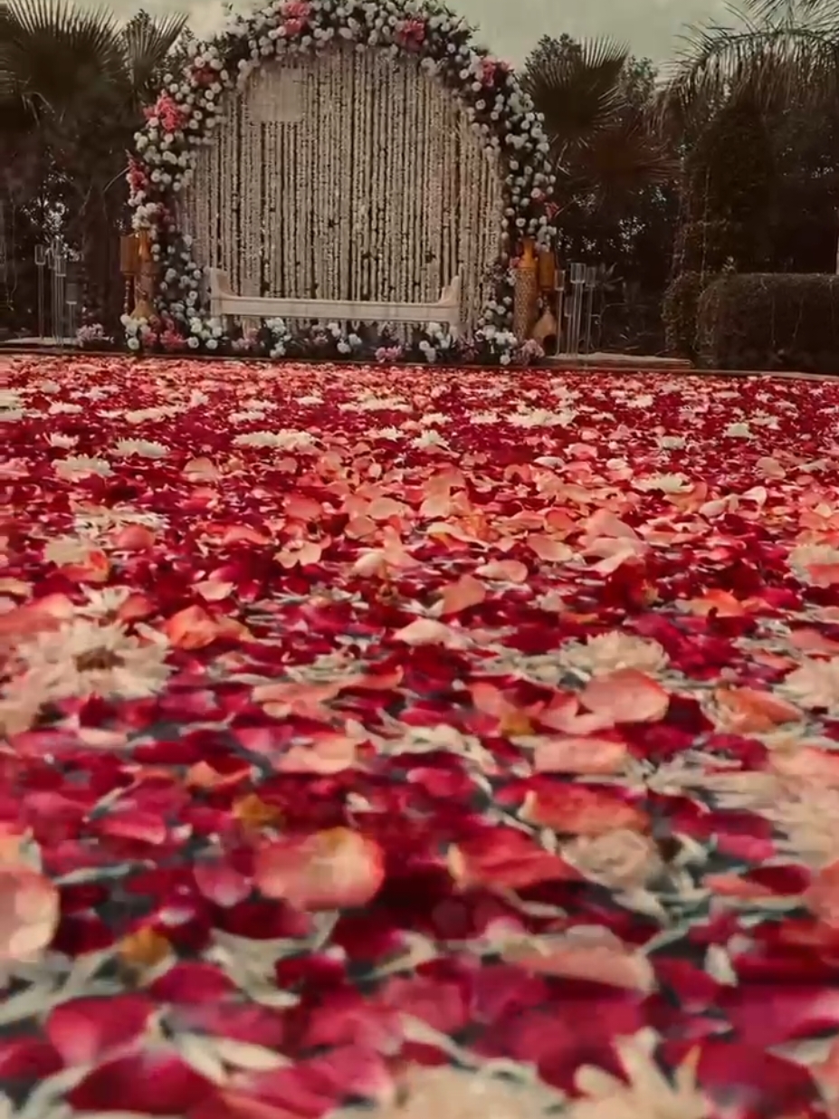 outdoor nikaah beautiful setup flowering decoration at DHA phase 8. your love decide at the best event for you. and big and beautiful day. 🌹🫰💐💐#decor by Asif#event planner#for you#Lahore wedding#wedding decoration#nikaah setup#nikaah decoration#Lahore fashion#viral video#500kviews #outdoor wedding decor#outdoor flowering setup#shortvideo 