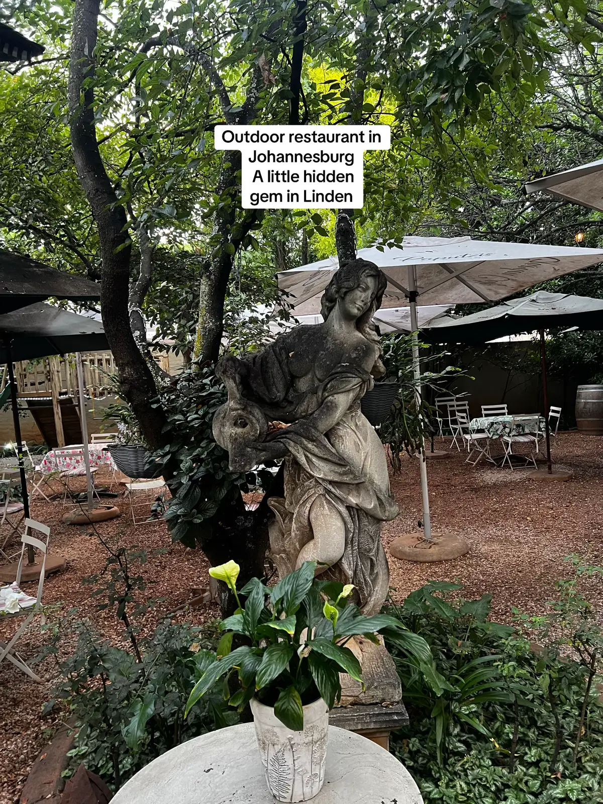 A little hidden gem, we had no idea how much space it had in the back when we passed by. I recommend it based on the ambiance, it was so relaxing to be there #Outdoors #johannesburgrestaurants #linden #tiktoksouthafrica 