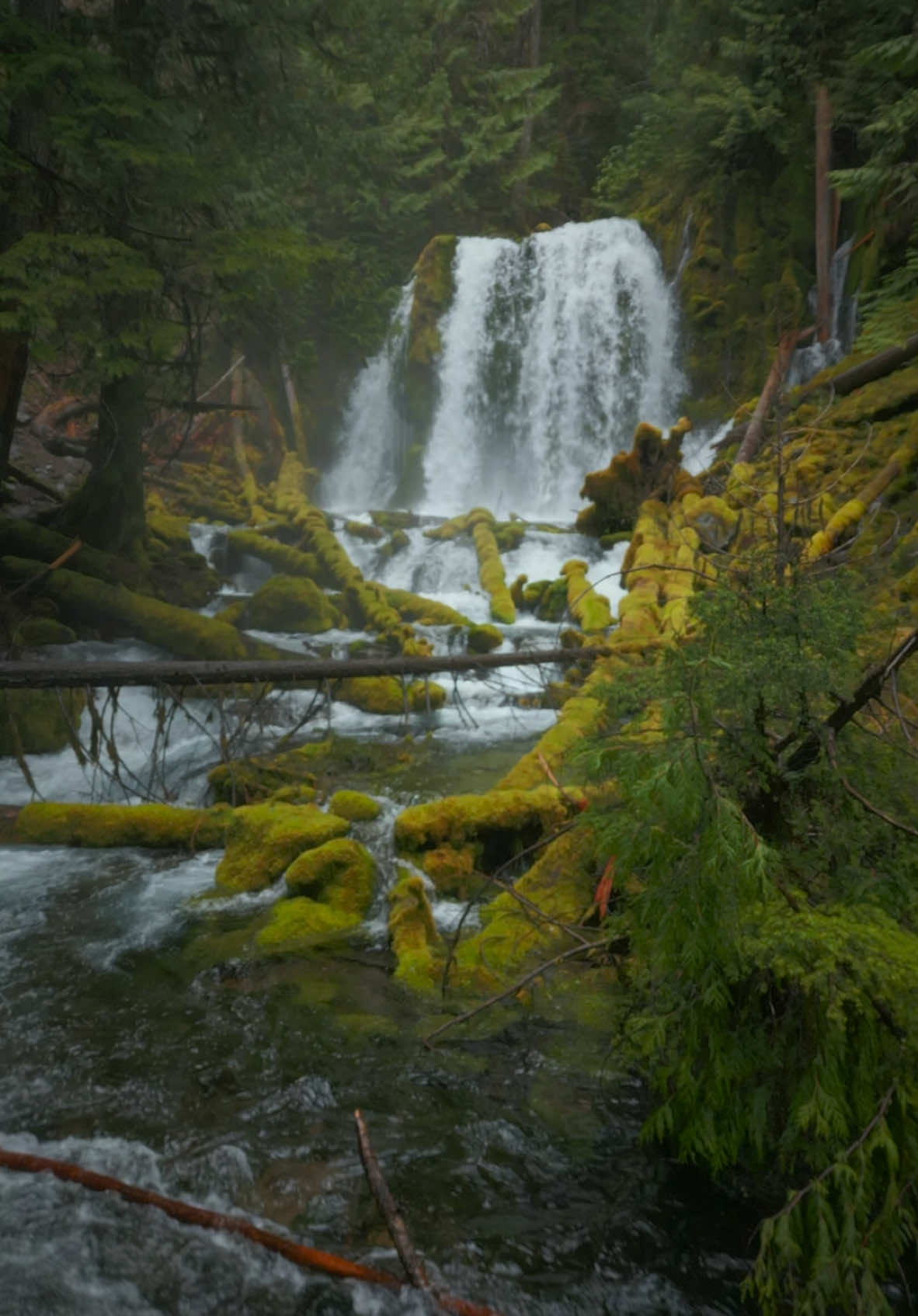 Ascending over a cascading creek to unveil a majestic waterfall, surrounded by a lush, moss-covered forest—a scene straight from a fairytale 😍 #nature #Outdoors #cinematic #calm #waterfall 