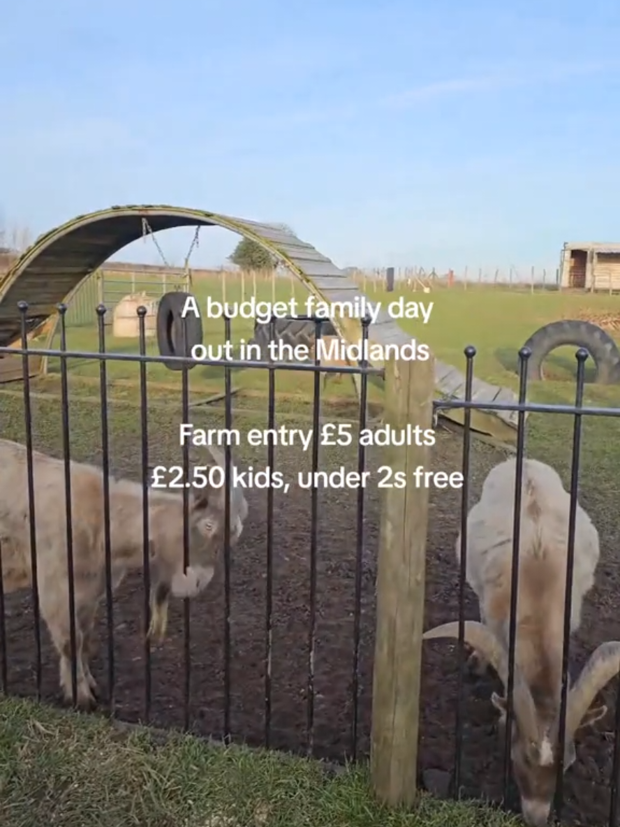 This farm needs your help!!! Their business is struggling at the moment, so if you're looking for a local day out over half term - please consider visiting! If you aren't able to then please share this post - which is totally free to do!  They've got some lovely animals, including a wallaby, chickens, ducks, birds, cows, sheep, goats, a donkey and pigs.  It's not a huge farm, but you get to see a good amount of animals for £15 for a family of four. If you have any outdoor toys to donate, I'm sure they'd appreciate them.  📌 Oak Tree Children's Farm  🤍 Stonall, Walsall  🎟 Adults £5, Kids £2.50, Under 2s go free  🪣 Bucket of feed £3  📅 Saturdays & Sundays 10-4pm  📅 School hols - Tuesday-Sunday 10-4pm  #westmidlands #walsall #westmids #dayoutwithkids #wolverhampton   