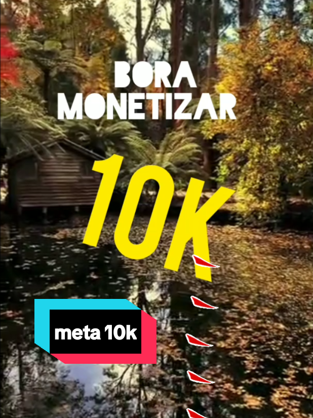 #boramonetizar #monetizartiktok #viraliza 