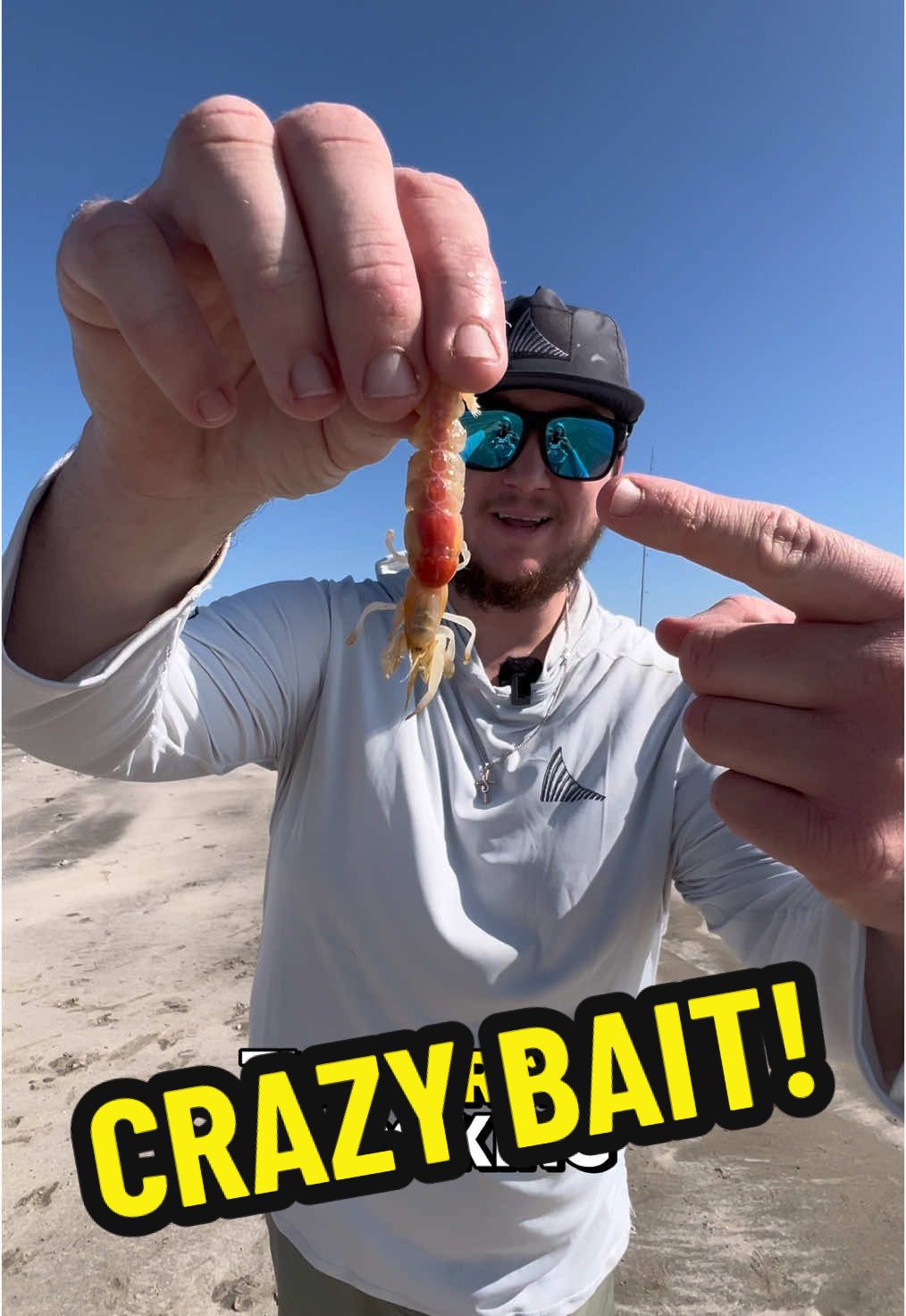 Using LIVE SHRIMP for FISHING BAIT at the BEACH!                         #fishtok #howtofish #ghostshrimp #shrimp #bait #beachfishing #saltwater 