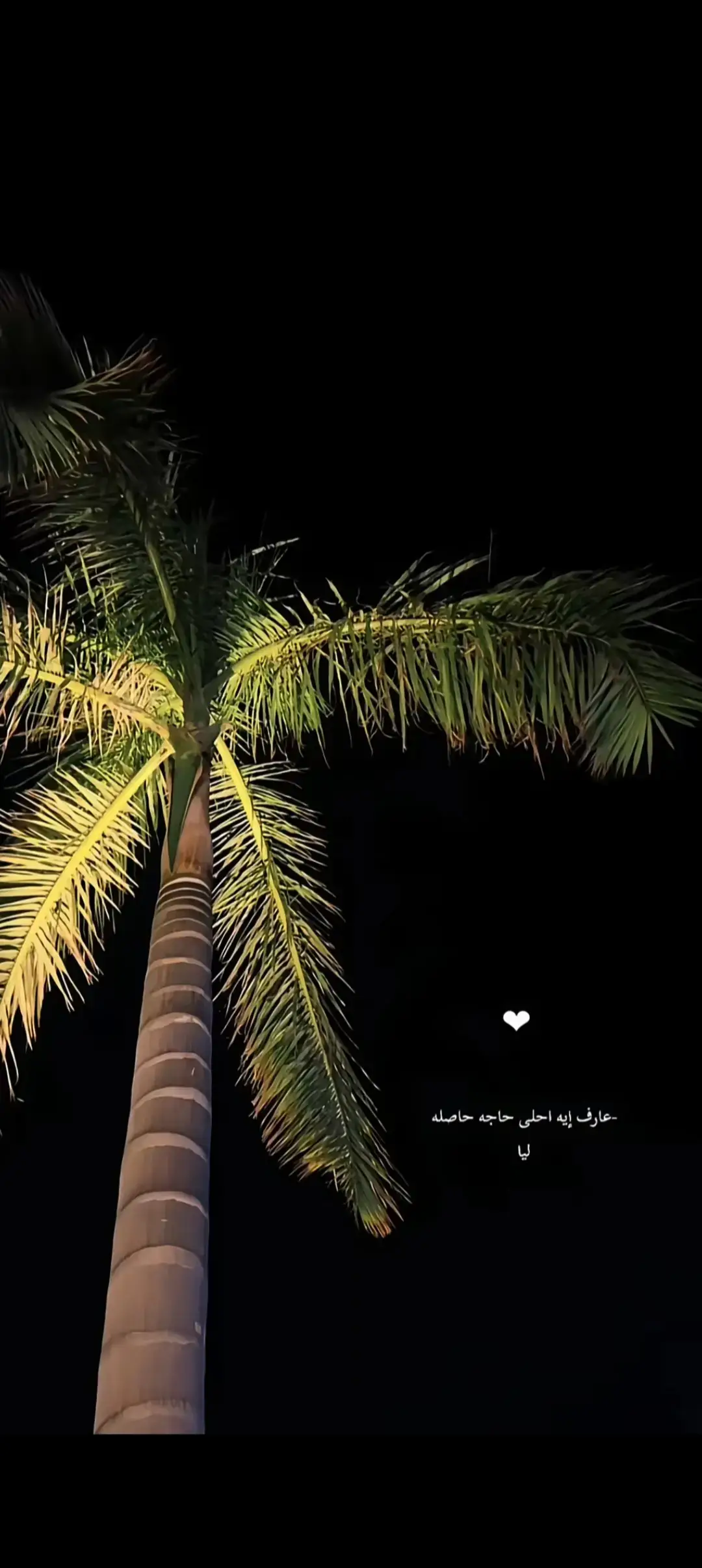 عارف ايه احلى حاجه حاصله ليا ✨🥹❤️