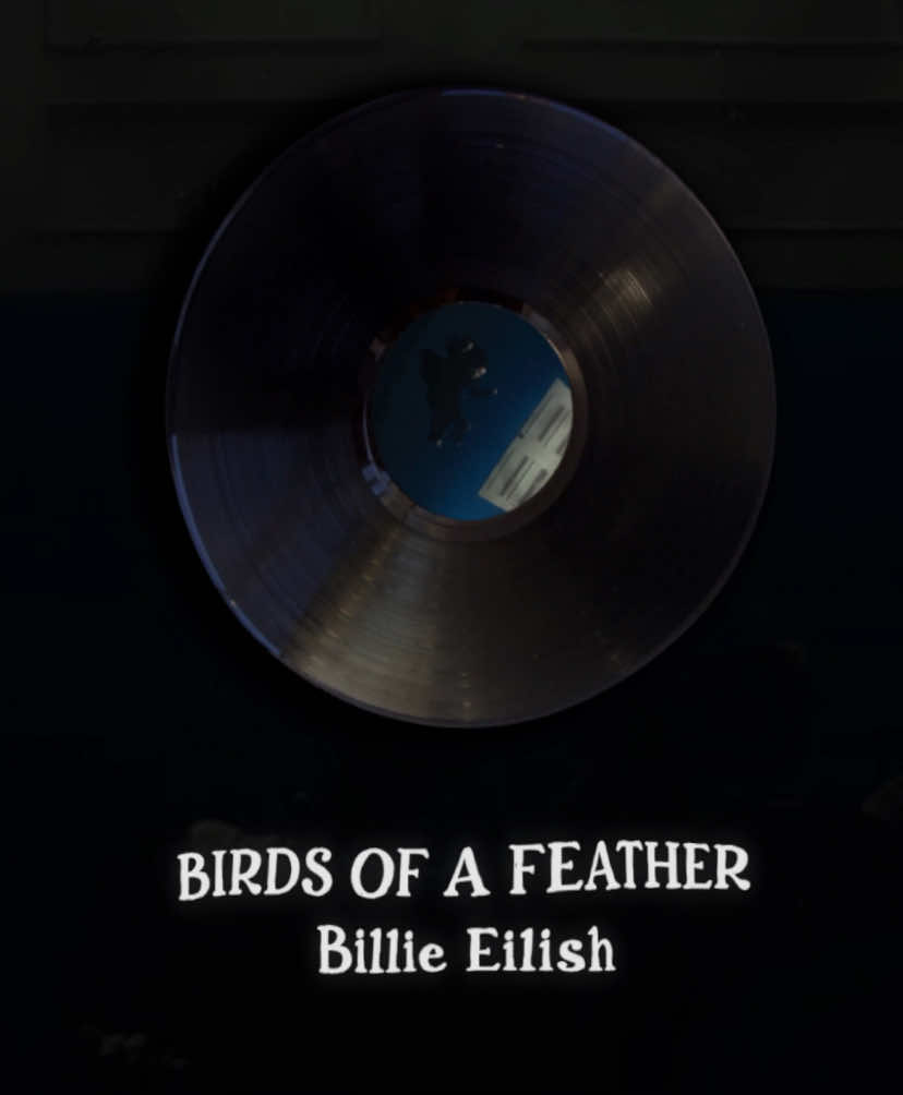 BIRDS OF A FEATHER | #birdsofafeather #billieeilish #songs #viral #lyrics 