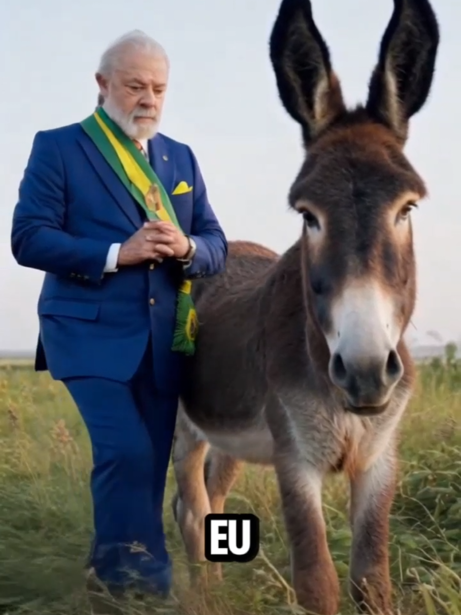 A história de um jumento e seu dono #comediahumor #AI #lula 