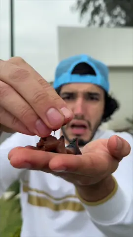 Asi es el chocolate mas resistente del mundo