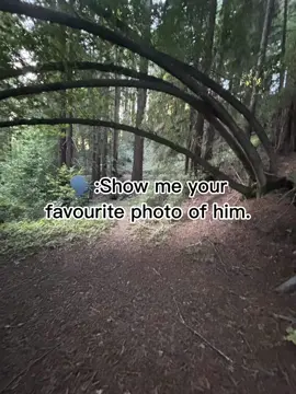 #CapCut 