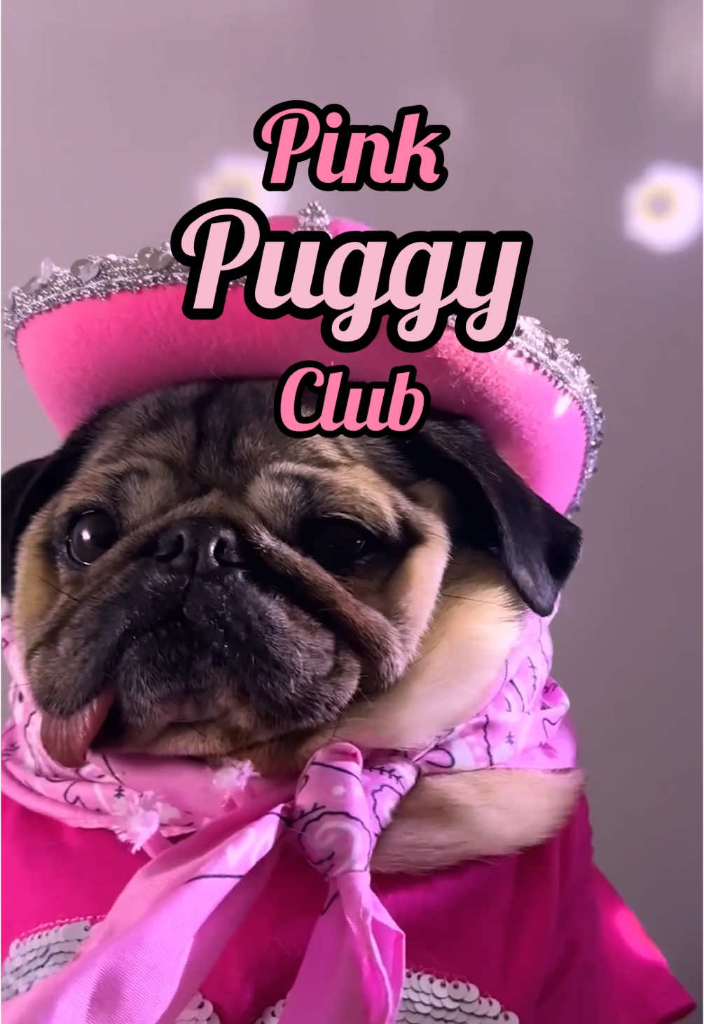 PINK PUGGY CLUB 🐎💕 @chappell roan  #grammys #chappell #pinkponyclub 