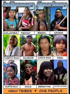 Native Americans from the north to the south are not savages, are not criminals, we build your homes, we cut your grass, we cook your food, we clean your home, we pay taxes. WE MAKE AMERICA GREAT!!  #vivamexico  #sisepuede 