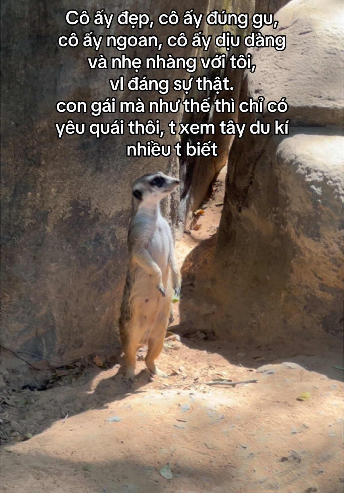 Có kinh nghiệm là khác liền #xh #th #trending #funny #viral #fypシ #xuhuong #monkey #VinWondersPhuQuoc #Vcreator #SafariPhuQuoc #GrandWorldPhuQuoc #WakeupFestival 