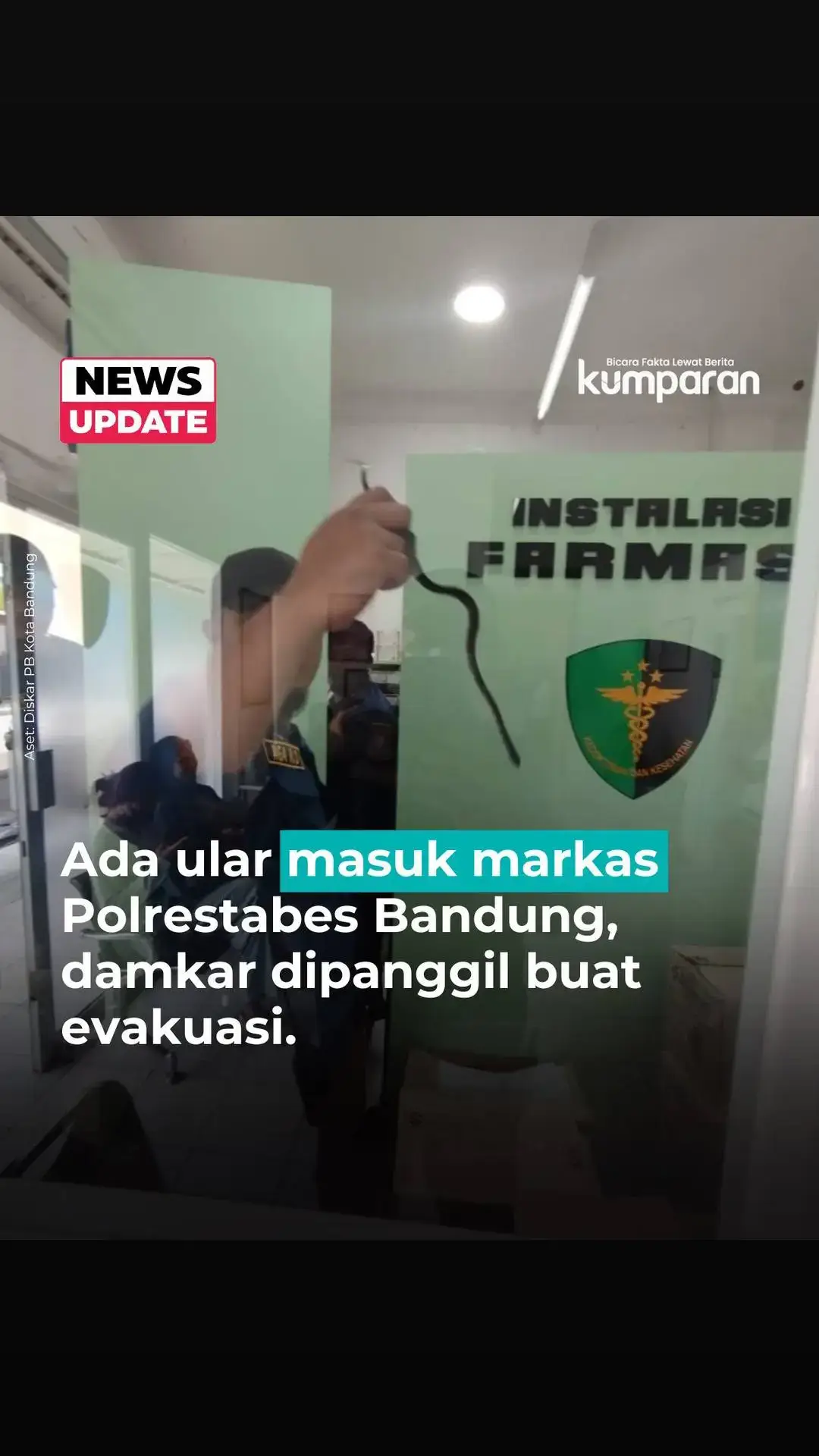 Luar biasa memang Damkar ini #polrestabesbandung #damkar #ular #polres #polri 