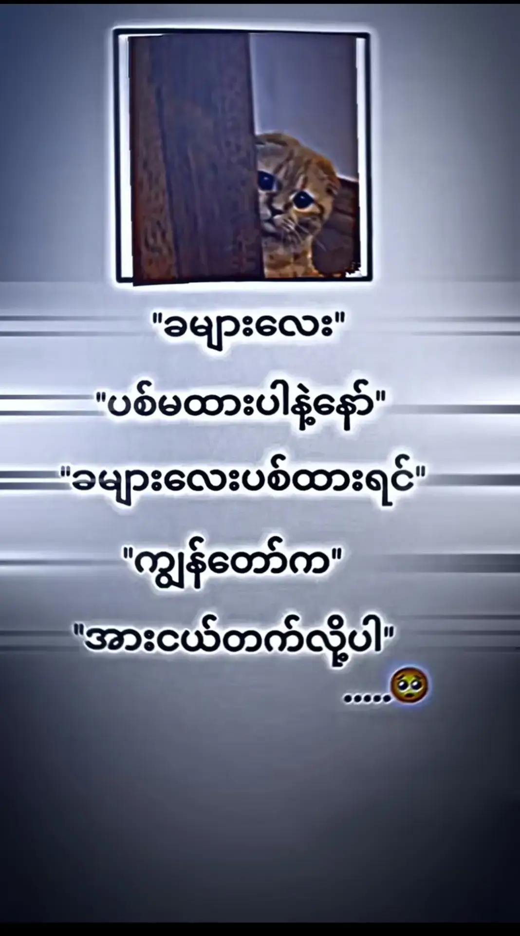 #ခများလေးပစ်မထားပါနဲ့နော် #ခများလေးပစ်ထားရင့် #ကျွန်တော်ကအားငယ်တက်လို့ပါ😔😔😔 #mtခေါ်ကြကွာ😁😝💖 #မင်းတို့ပေးမှ❤ရမဲ့သူပါကွာ 