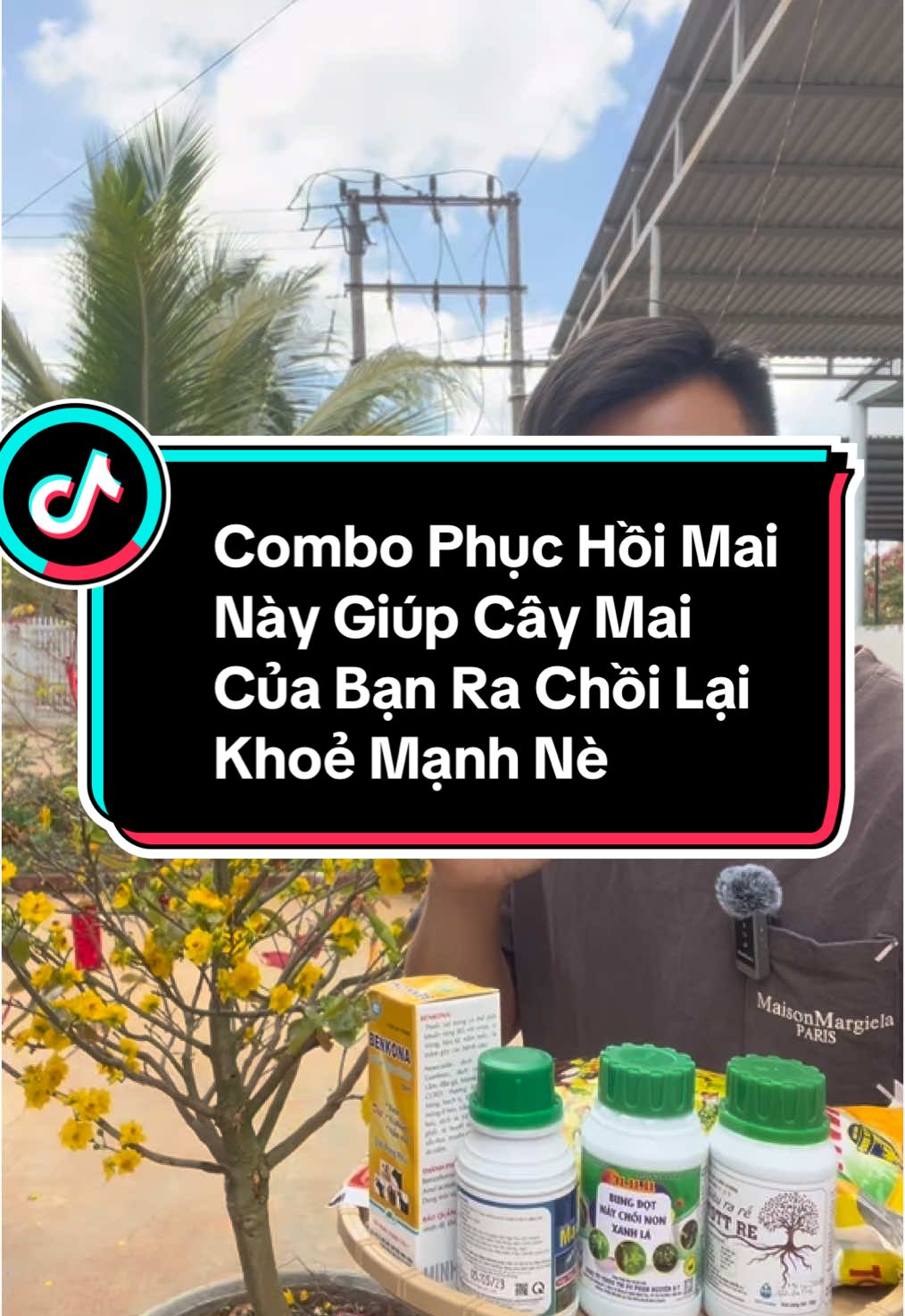 Phục Hồi Mai Sau Tết Với Combo Gồm 5 Món Này Giúp Cây Mai Của Bạn Ra Chồi Đọt Lại Mạnh Khoẻ#ongbonongdanreview #maitet #hoamaivang #hoamai #phanbonmai #phanbonmaivang 