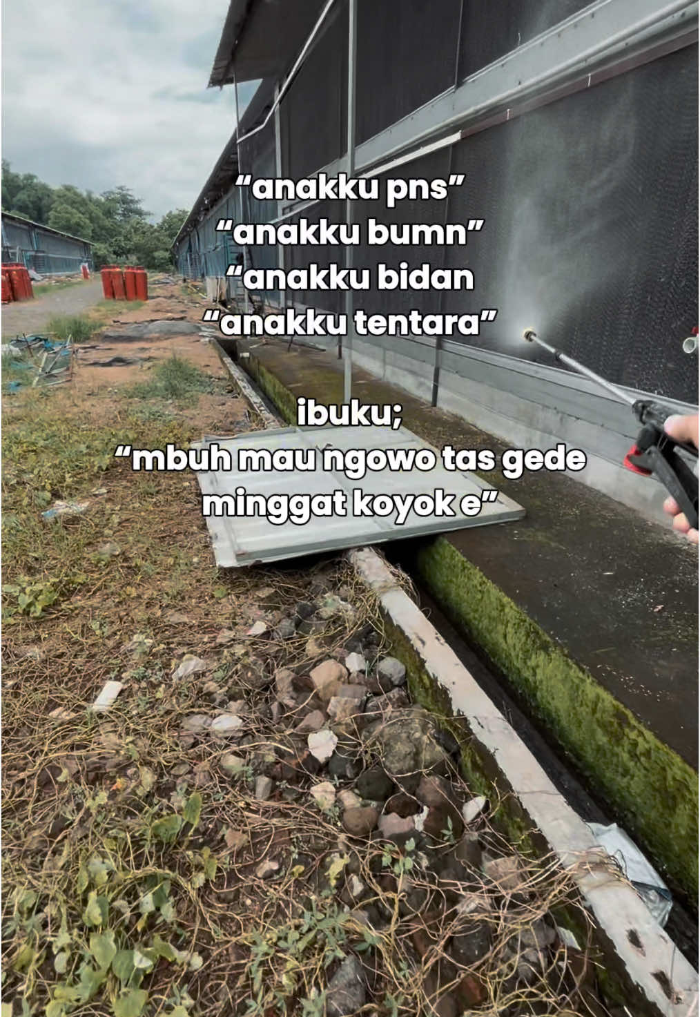 Minggat nk Kandang #hasilbroiler #ayambroiler #peternakayam #kandangclosehouse #pocongtiktok #pocongkandang #trending #viral #fyp 