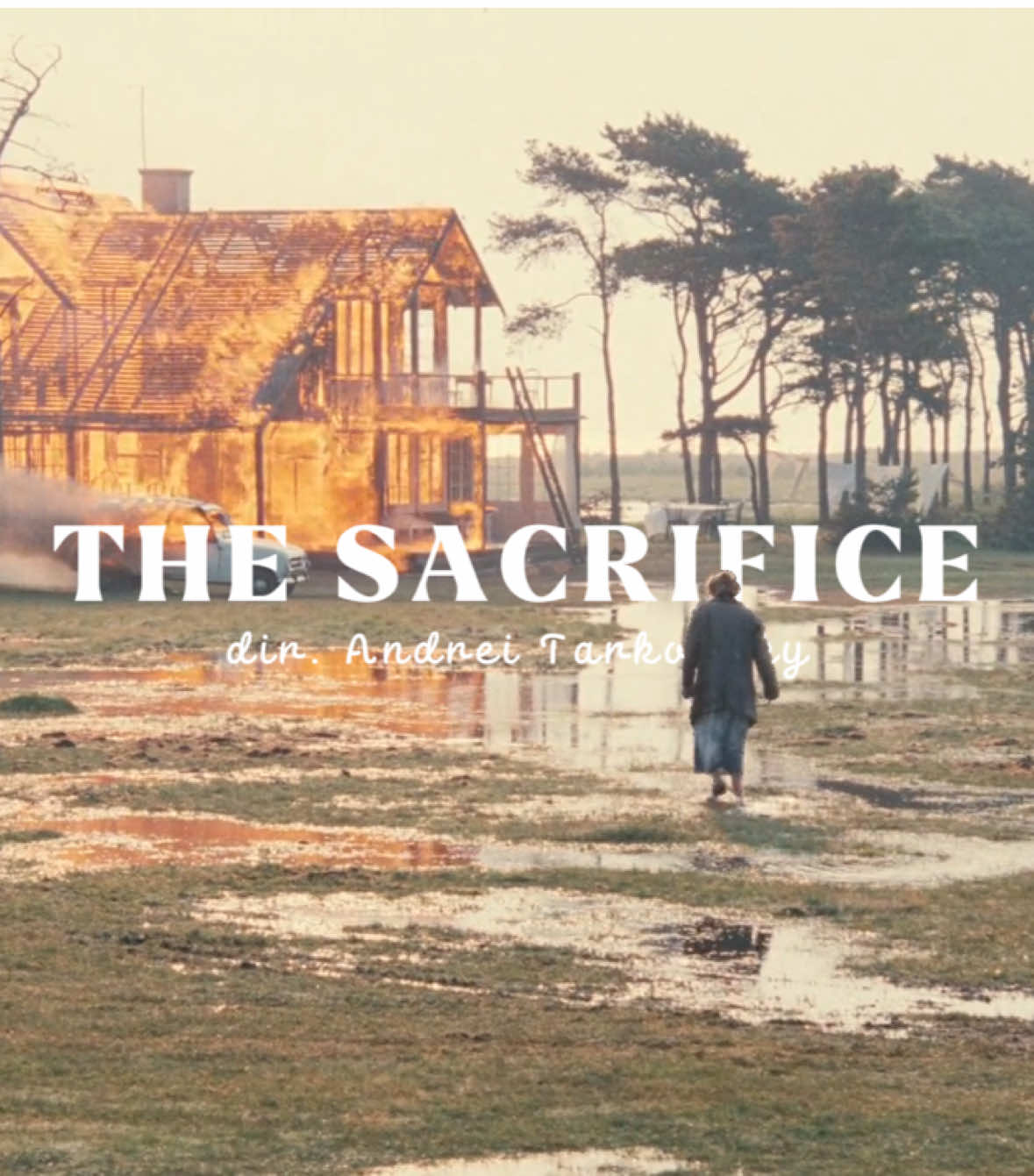 The Sacrifice | dir. Andrei Tarkovsky #movie #filmtok #cinema #cinematography #andreitarkovsky #thesacrifice #movies #letterboxd 