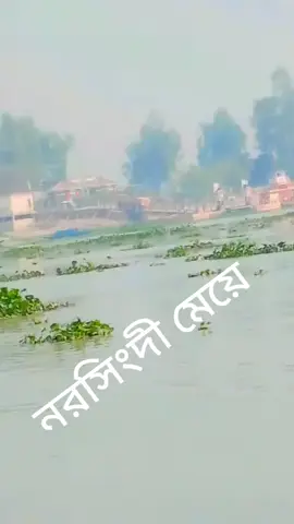 #নরসিংদীর_মেয়ে🔥 #রায়পুর #CapCut #foryou 