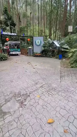 #mangliforest  #tempatwisatamagelang  #fyppppppppppppppppppppppp 