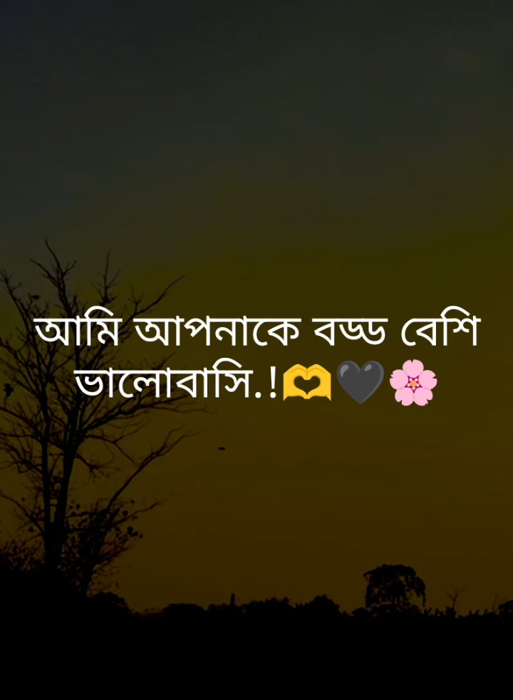 আমি আপনাকে বড্ড বেশি ভালোবাসি.!🫶🖤🌸#fypシ゚ #tiktok #foryou #status #tibro_03 #unfrezzmyaccount 